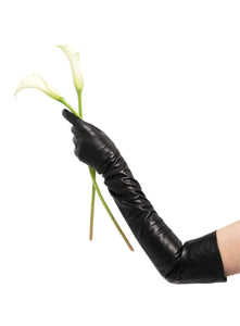 CAROLINA AMATO | Leather Opera Length Gloves